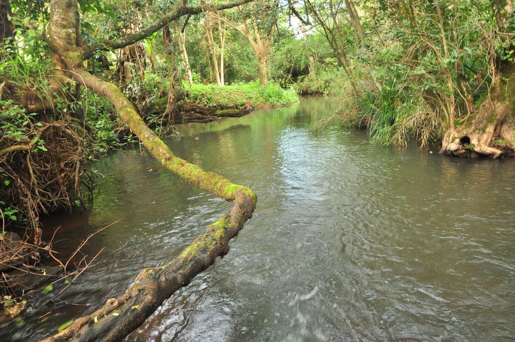 Naiberi River Campsite & Resort Eldoret Extérieur photo